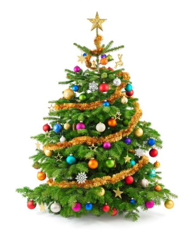Vianočný stromček, Vianoce, výzdoba vianočná, vianočné sviatky