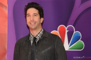 David Schwimmer