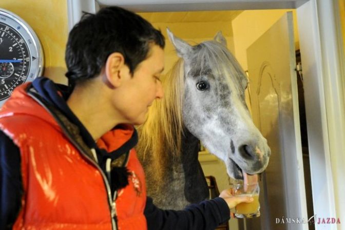 Majiteľka ukryla koňa počas búrky v obývačke, teraz odmieta odísť