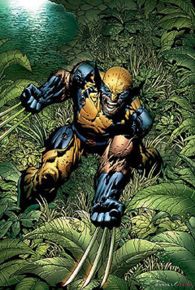 Wolverine (comics)