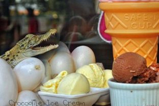 Reštaurácia na Filipínach láka hostí na krokodíliu zmrzlinu