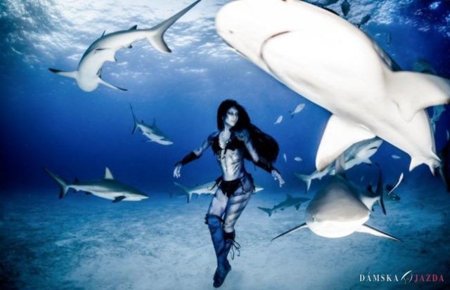 Tanec so smrťou: Aktivistka odhaľuje „ľudskú" tvár žralokov
