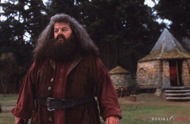Autorka Harryho Pottera si v Škótsku postaví Hagridovu chatu