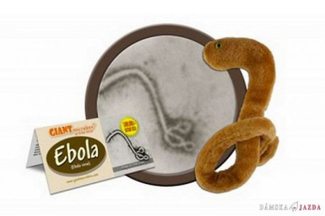 Trochu iné hračky: Plyšové verzie vírusu ebola idú na dračku