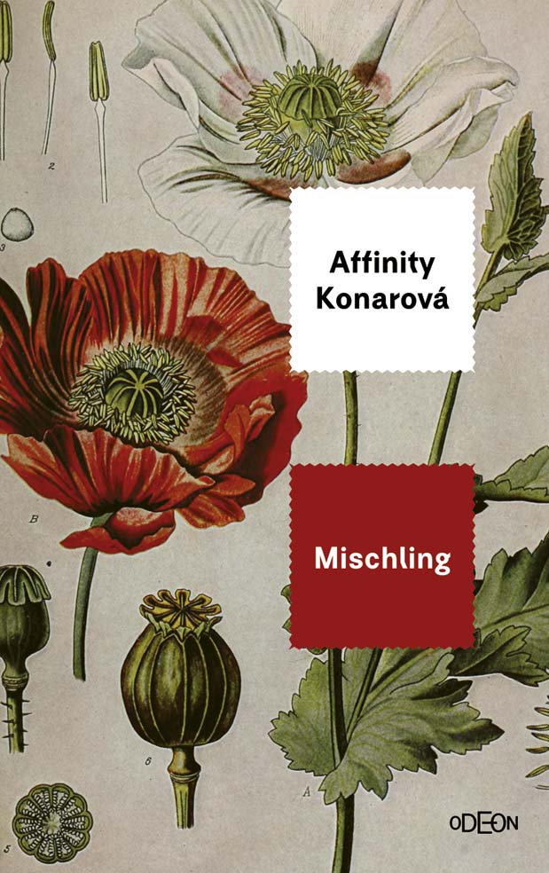 Mischling.jpg