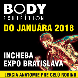 Body the exhibition_5.jpg