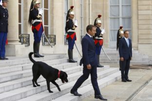 France Macron&#039;s Dog