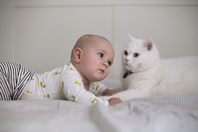 mačka a dieťa