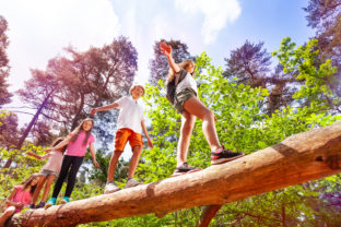 Group of kids walk over big log in the forest